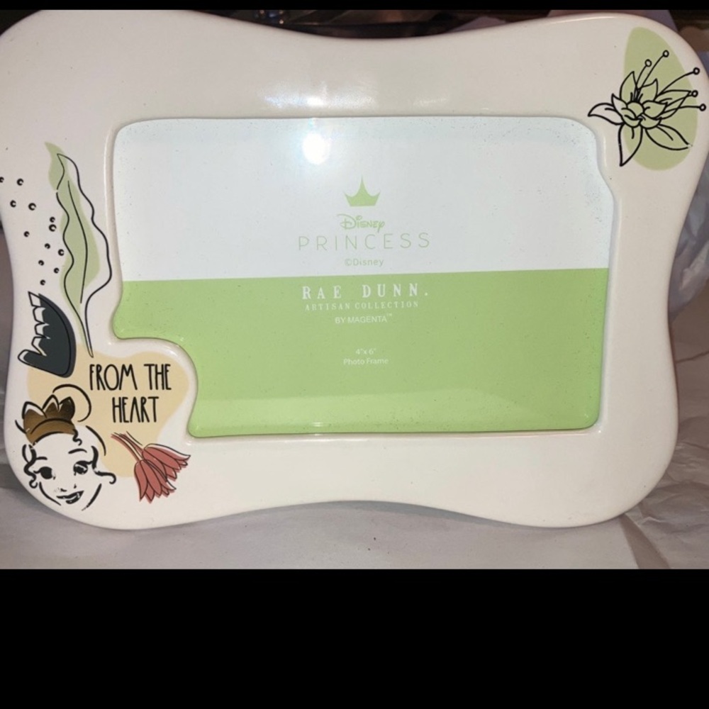 Two (2) REA DUNN ARTISAN COLLECTION DISNEY PRINCESS (TIANA) FRAMES